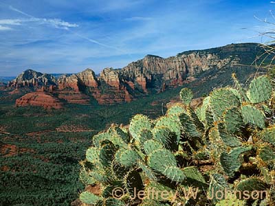 Schnebly Road Overlook 1