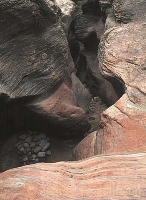 Zion Top of Echo Slot
