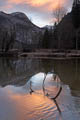 Merced River Reflection